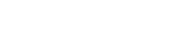 Ingimex logo